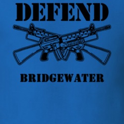 Bridgewater Oneida County New York State Defend T Shirt 5329825