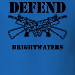 Brightwaters Suffolk County New York State Defend T Shirt 5329841