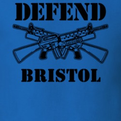 Bristol Ontario County New York State Defend T Shirt 5329849