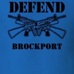 Brockport Monroe County New York State Defend T Shirt 5329859