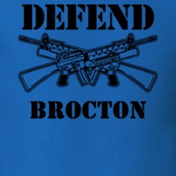 Brocton Chautauqua County New York State Defend T Shirt 5329865