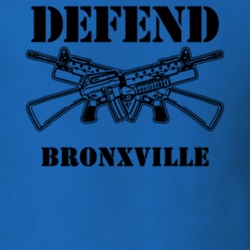 Bronxville Westchester County New York State Defend T Shirt 5329871