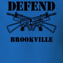 Brookville Nassau County New York State Defend T Shirt 5329886