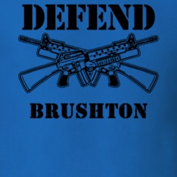 Brushton Franklin County New York State Defend T Shirt 5329909