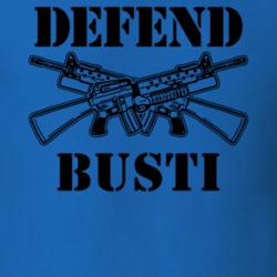 Busti Chautauqua County New York State Defend T Shirt 5329962