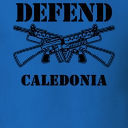 Caledonia Livingston County New York State Defend T Shirt 5329994