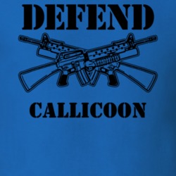 Callicoon Sullivan County New York State Defend T Shirt 5330000