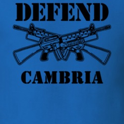 Cambria Niagara County New York State Defend T Shirt 5330006