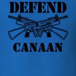 Canaan Columbia County New York State Defend T Shirt 5330048