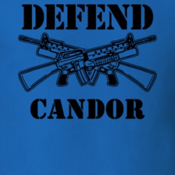 Candor Tioga County New York State Defend T Shirt 5330082