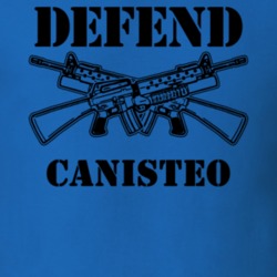 Canisteo Steuben County New York State Defend T Shirt 5330099