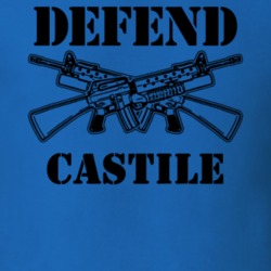 Castile Wyoming County New York State Defend T Shirt 5330178