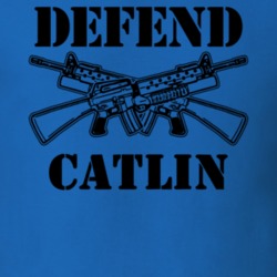 Catlin Chemung County New York State Defend T Shirt 5330207