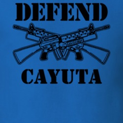 Cayuta Schuyler County New York State Defend T Shirt 5330246