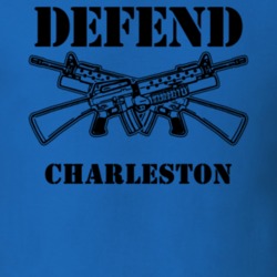 Charleston Montgomery County New York State Defend T Shirt 5330299