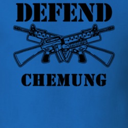 Chemung Chemung County New York State Defend T Shirt 5330363