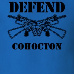 Cohocton Steuben County New York State Defend T Shirt 5330576