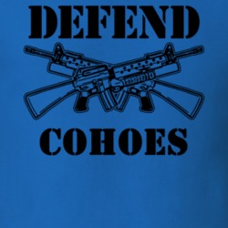 Cohoes Albany County New York State Defend T Shirt 5330581