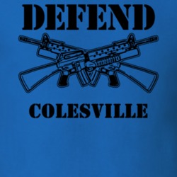 Colesville Broome County New York State Defend T Shirt 5330601