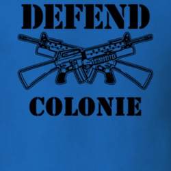 Colonie Albany County New York State Defend T Shirt 5330614