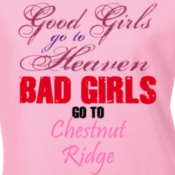 Chestnut Ridge Rockland County New York State Defend T Shirt 5339141