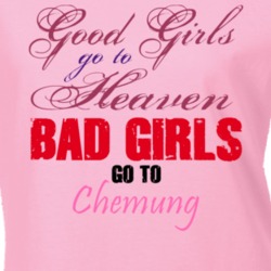 Chemung Chemung County New York State Defend T Shirt 5340957