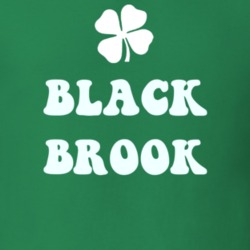 Black Brook Clinton County New York State Irish Town Luck T Shirt 5359918