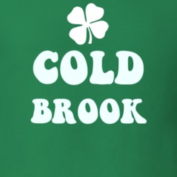 Cold Brook Herkimer County New York State Irish Town Luck T Shirt 5359919