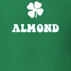 Almond Allegany County New York State Irish Town Luck T Shirt 5360155