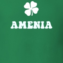 Amenia Dutchess County New York State Irish Town Luck T Shirt 5360162