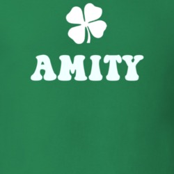 Amity Allegany County New York State Irish Town Luck T Shirt 5360165