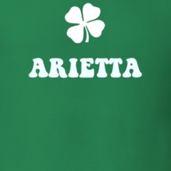 Arietta Hamilton County New York State Irish Town Luck T Shirt 5360179