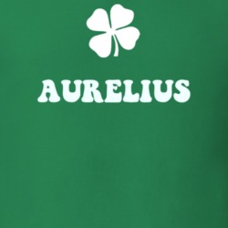 Aurelius Cayuga County New York State Irish Town Luck T Shirt 5360191