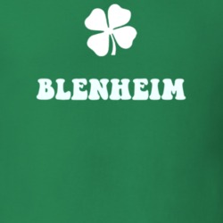 Blenheim Schoharie County New York State Irish Town Luck T Shirt 5360237