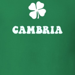 Cambria Niagara County New York State Irish Town Luck T Shirt 5360284