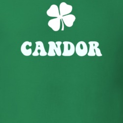 Candor Tioga County New York State Irish Town Luck T Shirt 5360296
