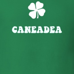 Caneadea Allegany County New York State Irish Town Luck T Shirt 5360297