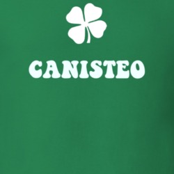 Canisteo Steuben County New York State Irish Town Luck T Shirt 5360298