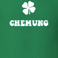 Chemung Chemung County New York State Irish Town Luck T Shirt 5360336