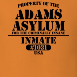 Adams Jefferson County New York State Prison Insane Asylum T Shirt 5361226