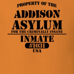 Addison Steuben County New York State Prison Insane Asylum T Shirt 5361227