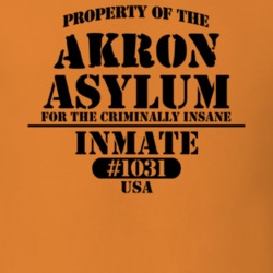 Akron Erie County New York State Prison Insane Asylum T Shirt 5361230