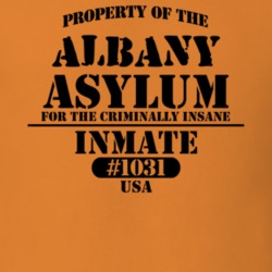 Albany Albany County New York State Prison Insane Asylum T Shirt 5361232