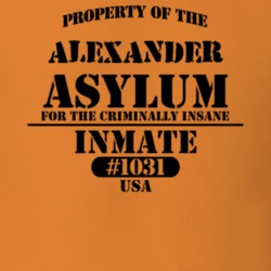 Alexander Genesee County New York State Prison Insane Asylum T Shirt 5361236