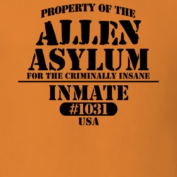 Allen Allegany County New York State Prison Insane Asylum T Shirt 5361241
