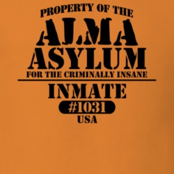 Alma Allegany County New York State Prison Insane Asylum T Shirt 5361242