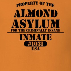 Almond Allegany County New York State Prison Insane Asylum T Shirt 5361243