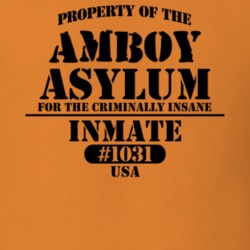 Amboy Oswego County New York State Prison Insane Asylum T Shirt 5361248