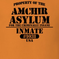 Amchir Orange County New York State Prison Insane Asylum T Shirt 5361249