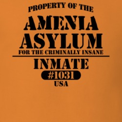 Amenia Dutchess County New York State Prison Insane Asylum T Shirt 5361250